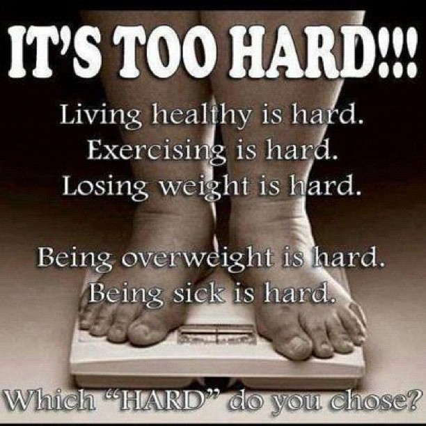 1620540_438795889586944_1818687610_n