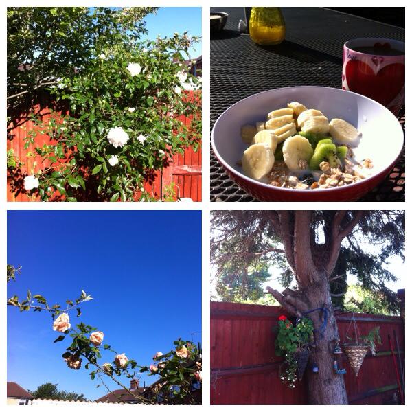 10330362_10152368317570659_4440556272904604226_n