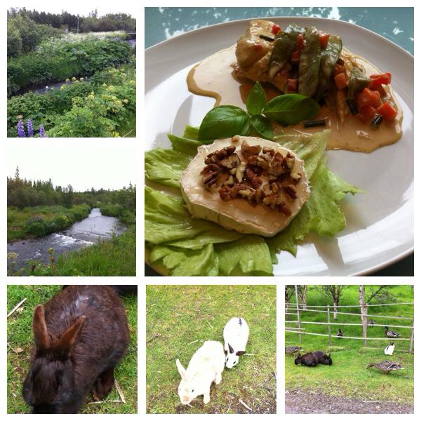 1912543_10152465720440659_3963289422119717005_n