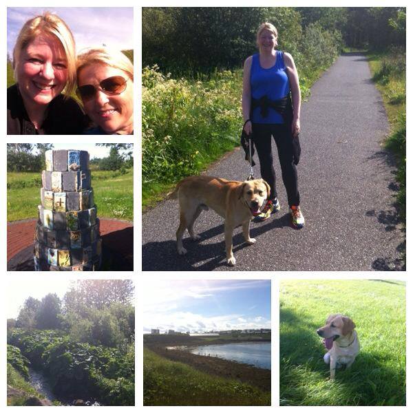 10492310_326852494129018_1640745714048160540_n