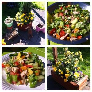 10429496_337879596359641_1048574401817251779_n