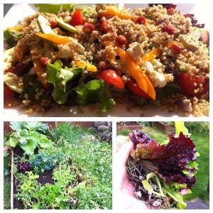 10711346_10152645814780659_263965147_n