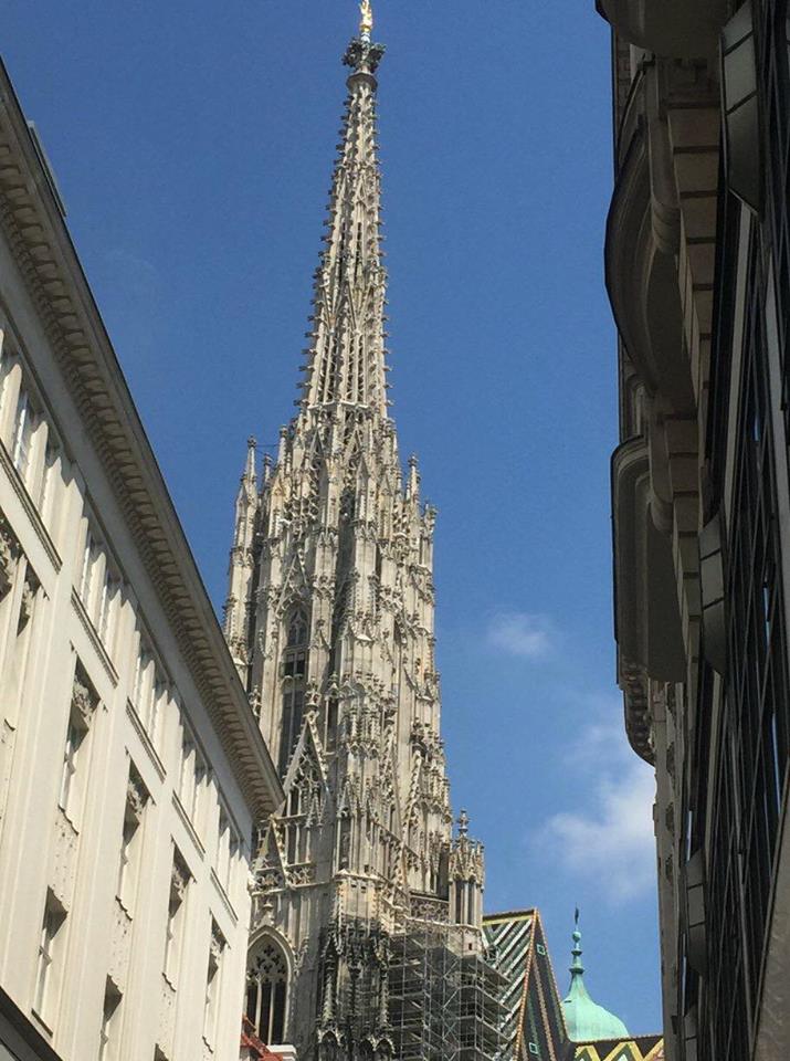 33614524_10156168191460659_2717625622942711808_n