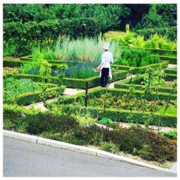 36327630_10156252838830659_562576222547083264_n